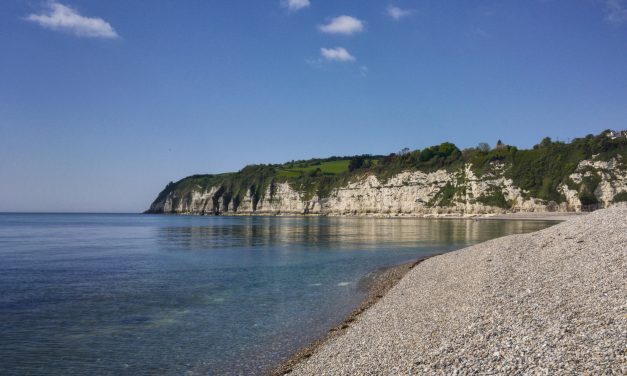 Beer Village Website