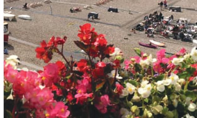 New Village Map for Beer