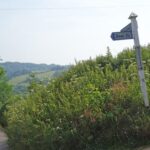 Part Of Beer To Brancombe Walk X
